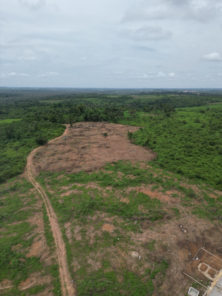 Real Estate & Land Sales - View 2